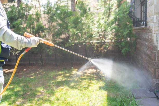 Best Lawn Pest Control  in Des C, AR